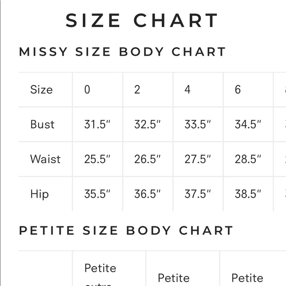 NWT Betsy & Adam Silver spaghetti strap gown - Picture 8 of 8